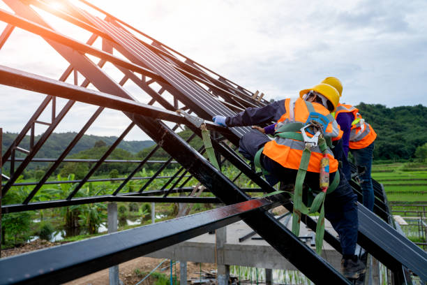 Gutter Installation and Roofing in Fyffe, AL