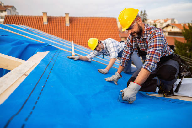 Best Flat Roof Repair Services  in Fyffe, AL