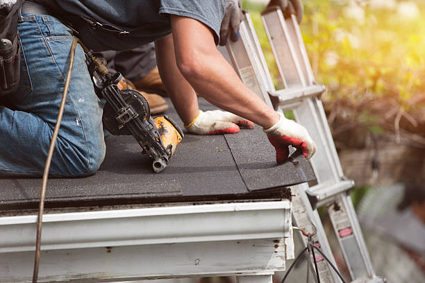Best Roof Gutter Cleaning  in Fyffe, AL